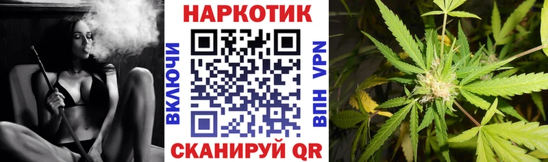 Бошки Шишки Борзя