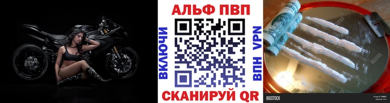 Купить Борзя Альфа ПВП СК