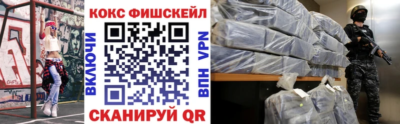 КОКАИН Fish Scale  Купить  Борзя 